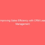 Simplify Lead Management with CRM and ERP using AI and ChatGPT, Simplify Lead Management with CRM and ERP using AI and ChatGPT